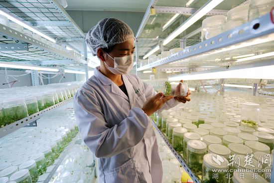 1621087425143712.jpeg fab46817c79e251d03c8e58e31164573.jpeg