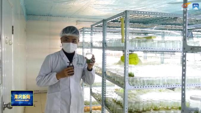 1621088037664891.jpg 1.jpg