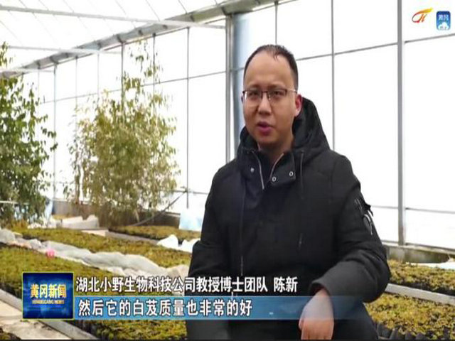 1621088294203943.jpg 3.jpg