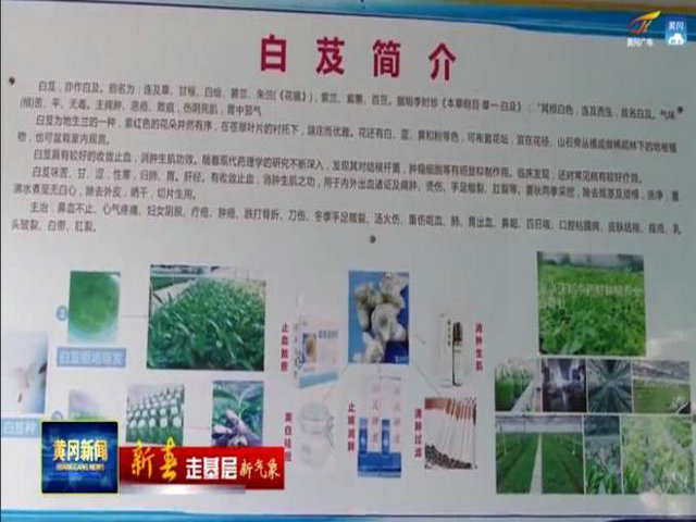 1621088309137249.jpg 4.jpg