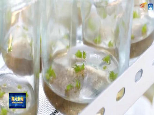 1621088323208014.jpg 5.jpg