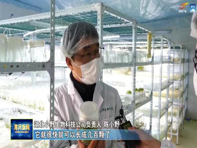 1621088335188654.jpg 6.jpg