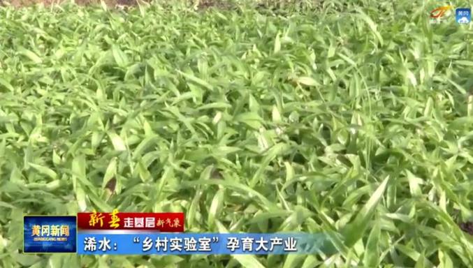 1621088390822095.jpg 9.jpg