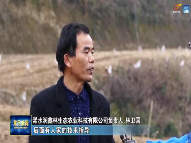 1621088418185757.jpg 11.jpg