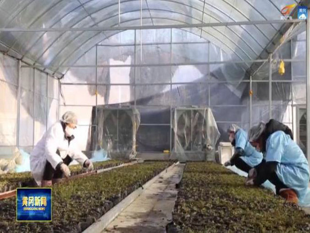 1621088436471273.jpg 12.jpg