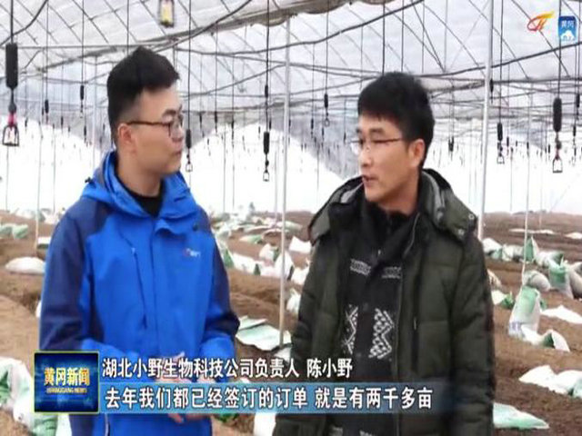 1621088457130083.jpg 13.jpg