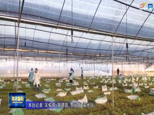 1621088495370601.jpg 15.jpg