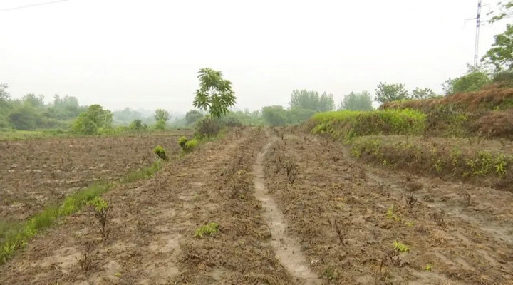 1621820808203321.jpg 1.jpg