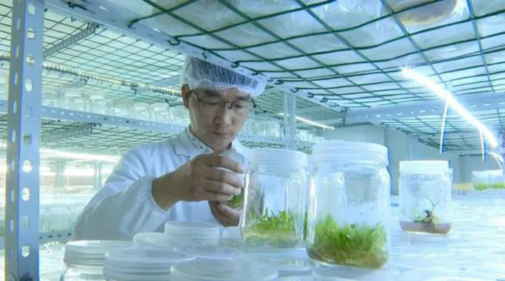 1621820934392128.jpg 2.jpg