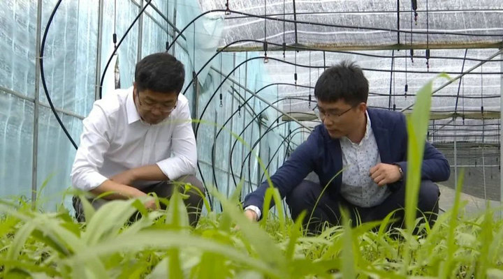 1621820954137676.jpg 3.jpg