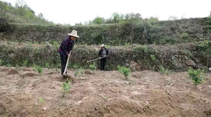 1621821040195414.jpg 4.jpg